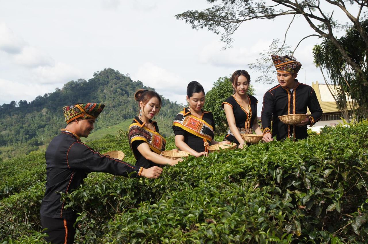 Sabah Tea Resort Ranau Exterior foto